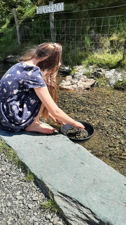 panning, home education, about bees organised hive, lifestyle