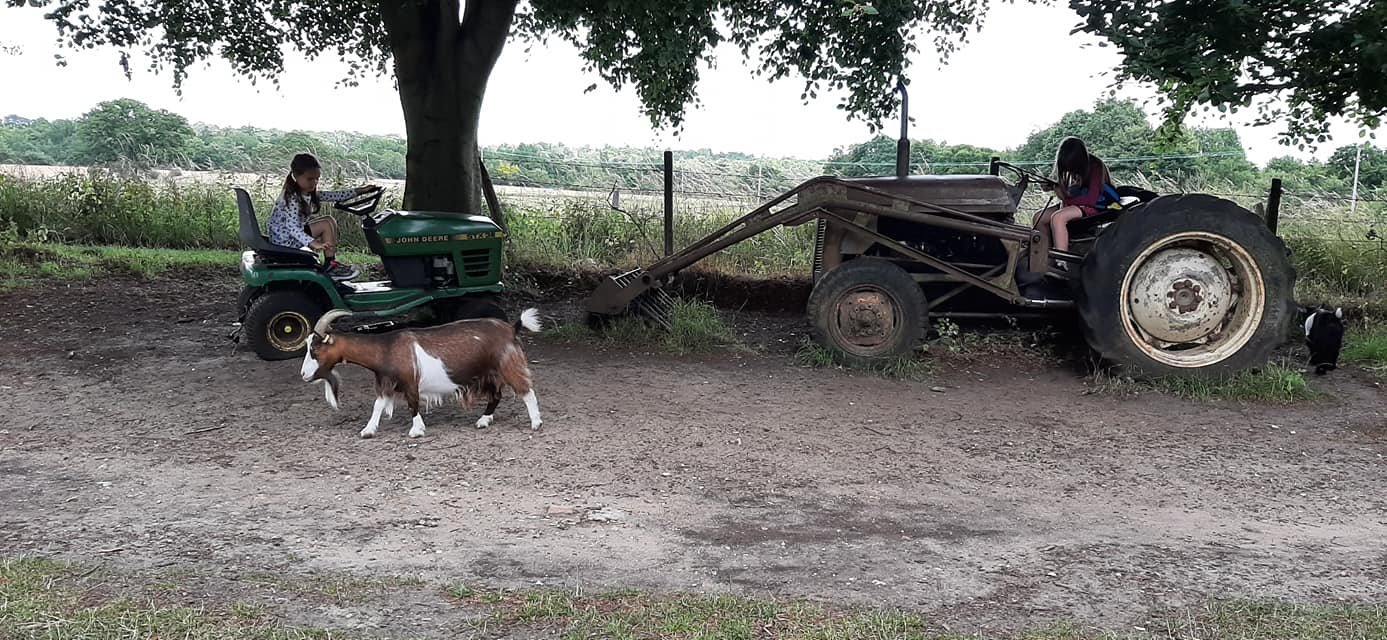 Baylham farm, days out