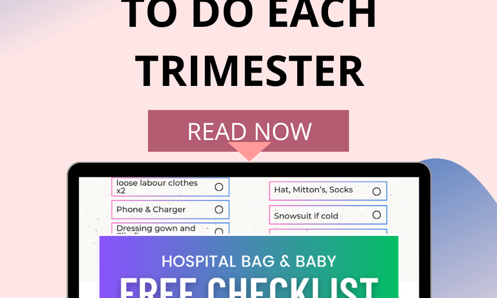 trimester