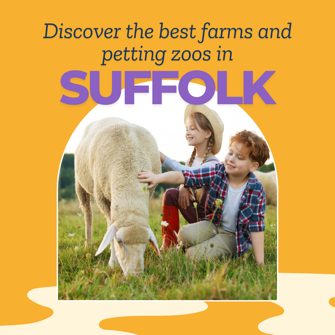 suffolk, truth about home education, transition, new baby, family days out